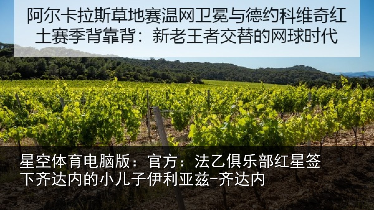 星空体育电脑版:官方:法乙俱乐部红星签下相关情况利亚兹-齐达内